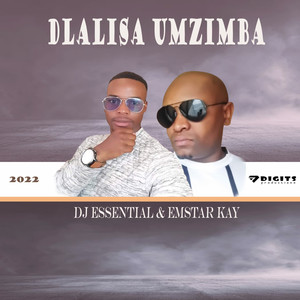 Dlalisa Umzimba
