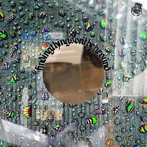 findingthingsontheground (feat. Hoodie Hilltop) (Explicit)