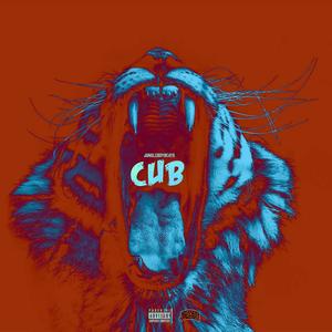 CUB (Explicit)