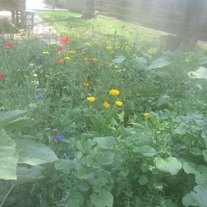 Haven t Seen Her In Years