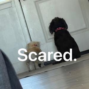 Scared. (feat. Tyler Blake)