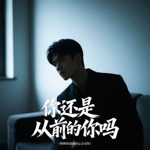 你还是从前的你吗（明明知道我的心会受伤）