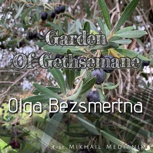 Garden Of Gethsemane