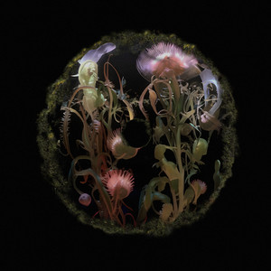 Aşk Yok (Disco Tarantula Remix)