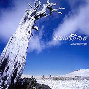 山林之歌 (吉他版)