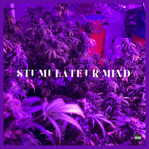 Stimulate Ur Mind (Explicit)