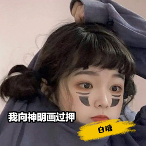 我向神明画过押