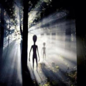 Walk it out (feat. Flyy TheProducer) (Explicit)