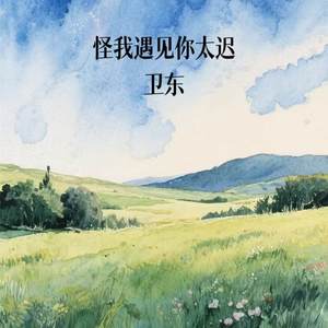 怪我遇见你太迟