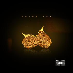 Blackberries (Explicit)