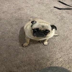 My Life for Yours (Explicit)