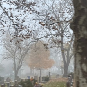 get on with it (Explicit)