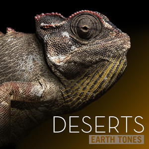 Earth Tones: Deserts