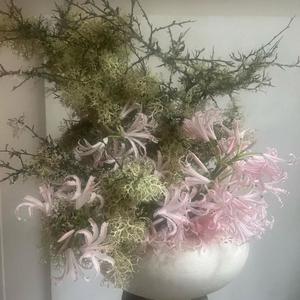 I dont want to fall.wav (Explicit)