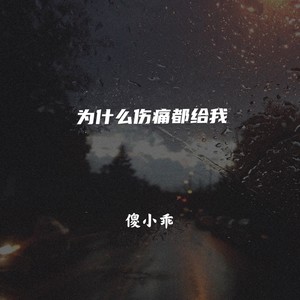 为什么伤痛都给我