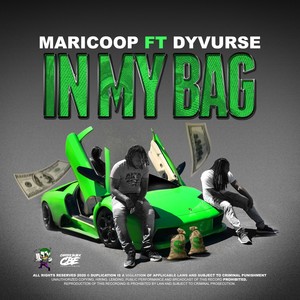 In My Bag (feat. DYVURSE) [Explicit]