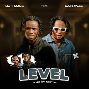 Daprinze level (feat. Dj fizzle) [Explicit]