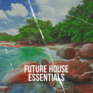 Future House Essentials (Explicit)