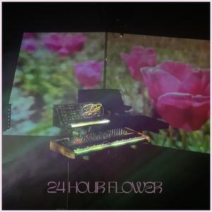 24 Hour Flower (feat. Cayn Borthwick)