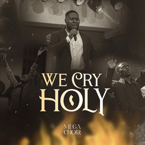 We Cry Holy (Live)