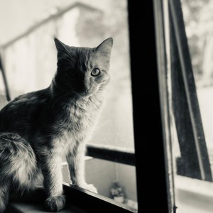 Pensando en tu piel (feat. AlienSuicide) (Explicit)