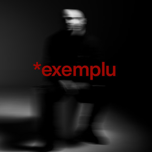 *exemplu