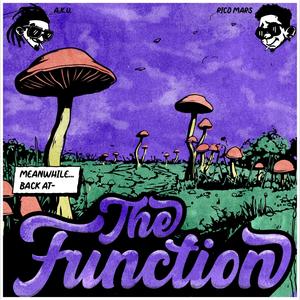 The Function (Explicit)