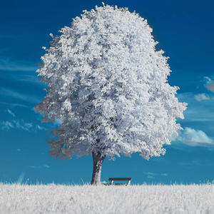 Space space (Explicit)