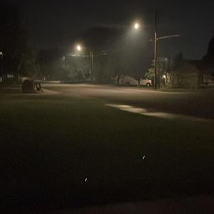 Noctivagant (Single Version)