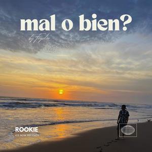 mal o bien?