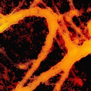 Money Under the Table