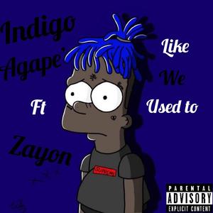 Like We Used To(feat. Zayon Anodomere) (Radio Edit)