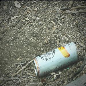 drunk ass chipotle freestyle (Explicit)