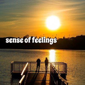 Sense of Feelings