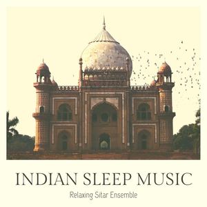 Indian Sleep Music: Relaxing Sitar Ensemble