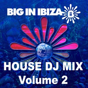 House: DJ Mix Vol 2 (Continuous DJ Mix)