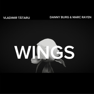 WINGS (Extended Edit)