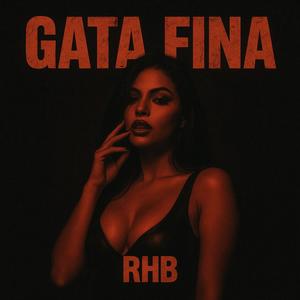 GATA FINA (feat. H-Boy & Boysacce) (Explicit)