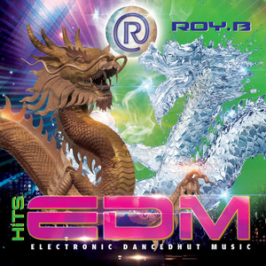 HiTS EDM (Electronic Dancedhut Music)