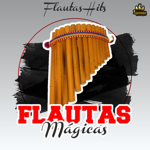 Flautas Hits