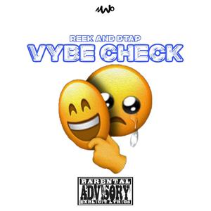 Reek & Dtap : VYBE CHECK, Vol. 2 (Explicit)