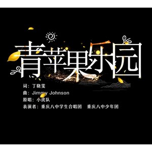 青苹果乐园封面