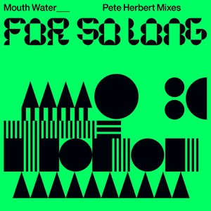 For So Long (Pete Herbert Instrumental Mix)