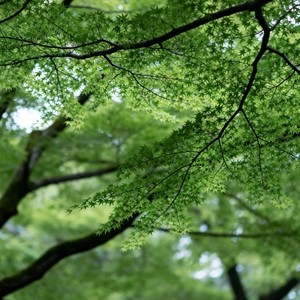 天使在唱歌 (R&B版)封面