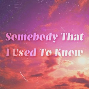 Somebody That I Used To Know (Remix)
