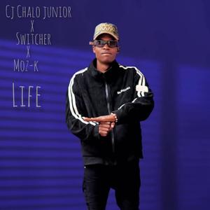 Life (feat. Switcher & Moz-k)