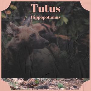 Tutus Hippopotamus