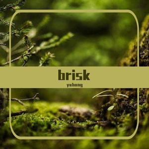 brisk