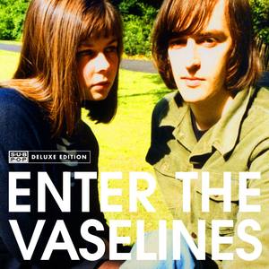 Enter The Vaselines