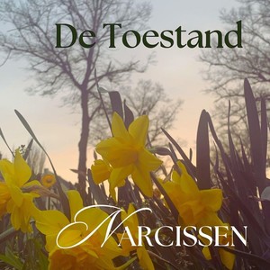 Narcissen